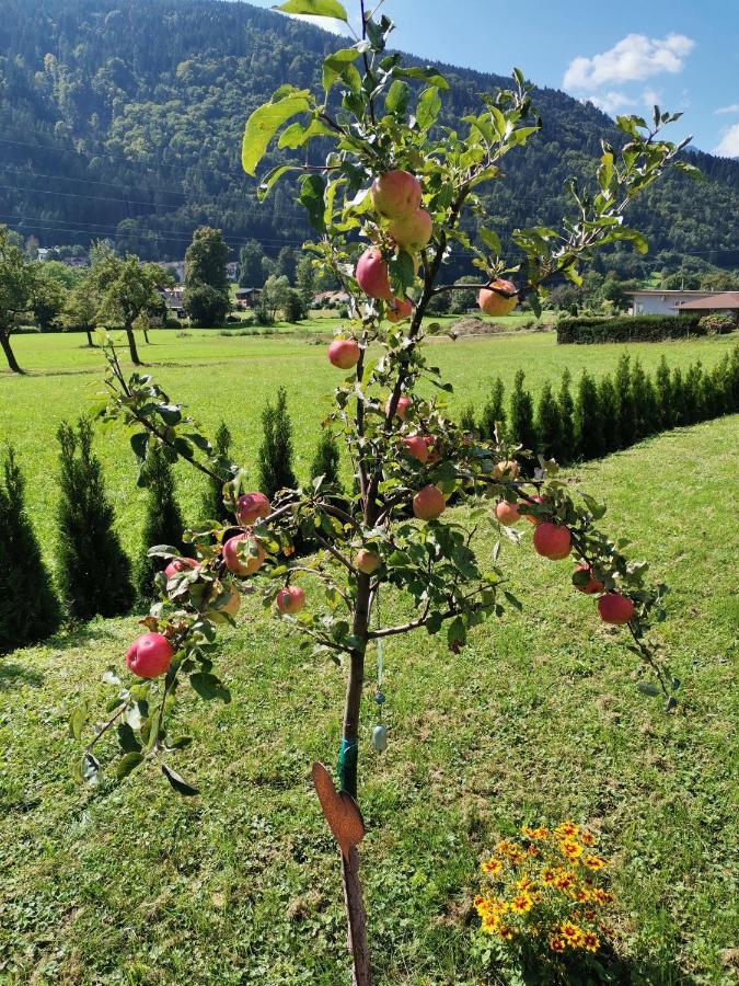 Apartment - Ferienwohnung 1 Treffen Am Ossiachersee Eksteriør bilde